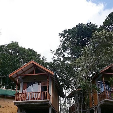 Saffron Eco Cottage Ella Exterior foto